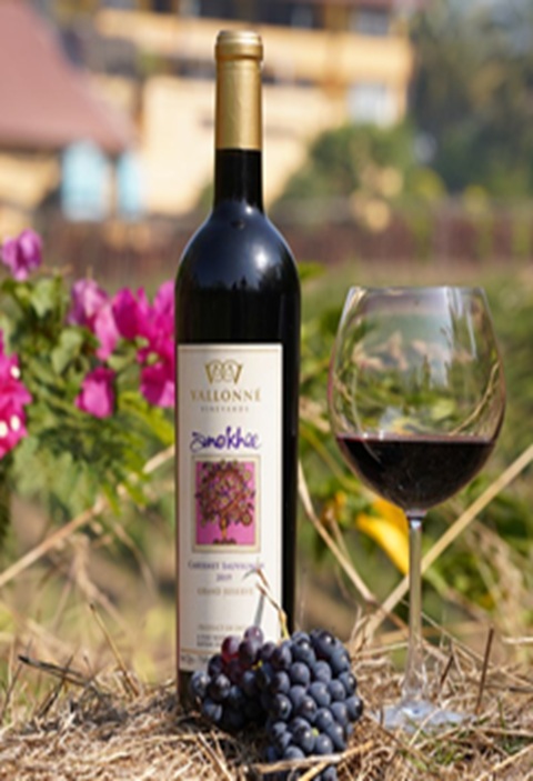 Exclusive Wine Collection at G-Town Wines Gurgaon